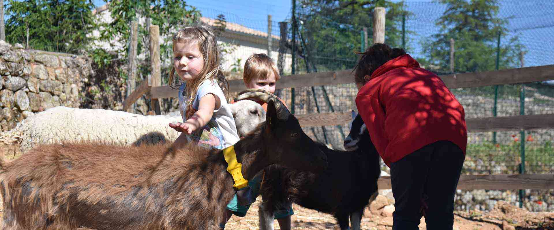 parc animalier joyeuse