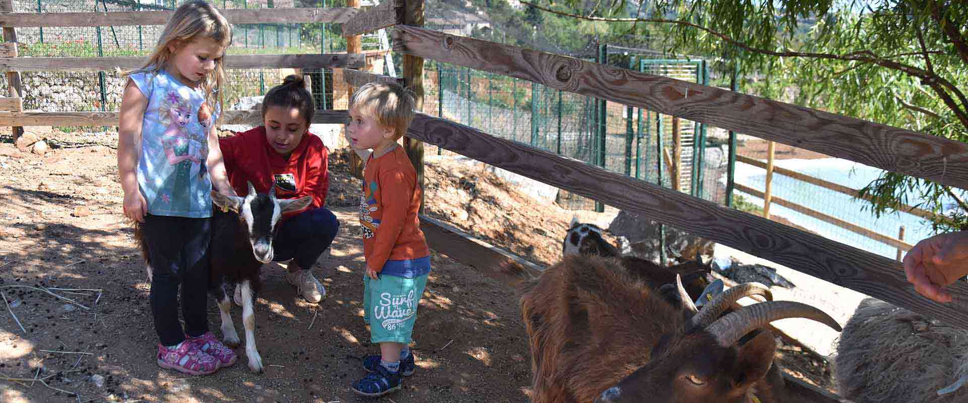 parc animalier joyeuse